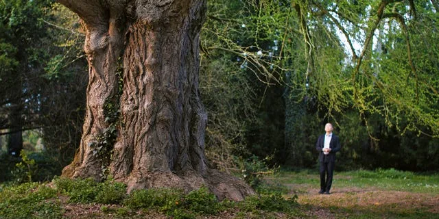 La conexión entre humanos y plantas en la nueva película sensible y poética de Ildikó Enyedi