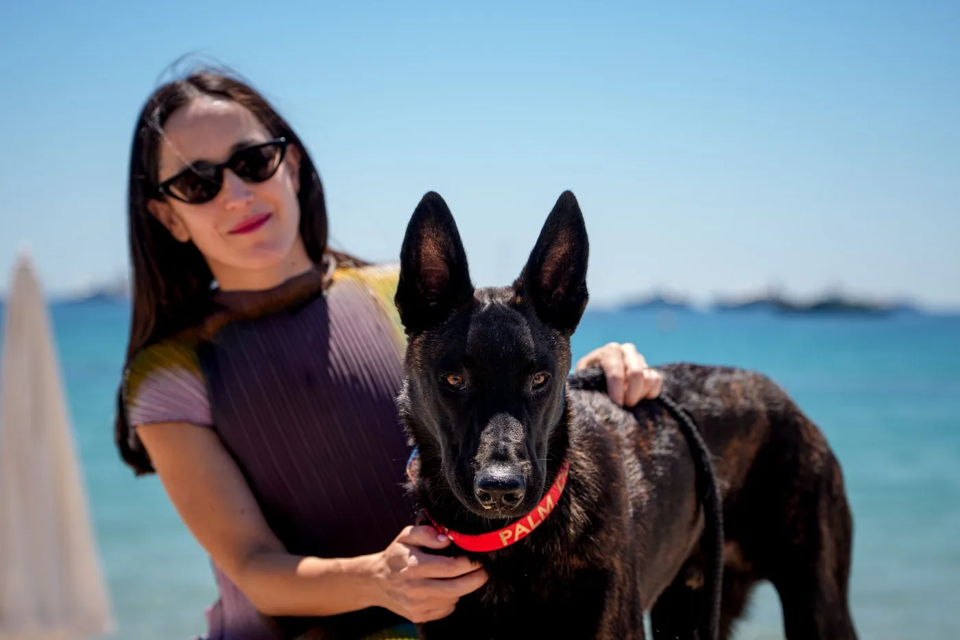 La Perra” conquista el premio Palm Dog en el Festival de Cannes