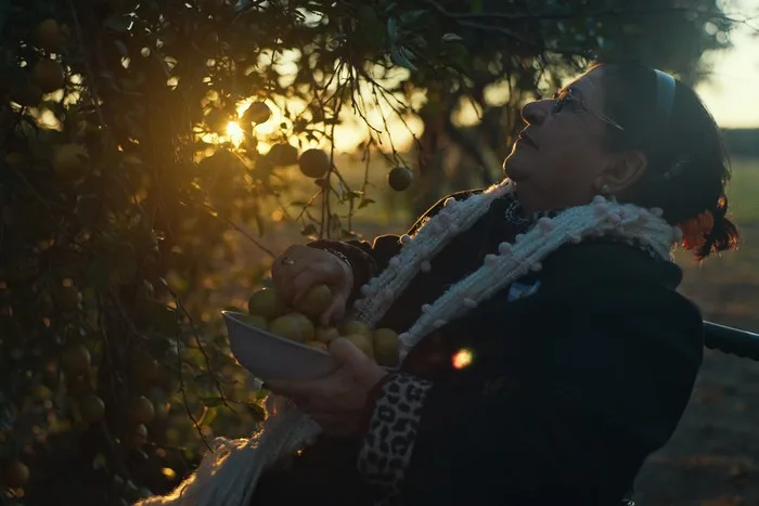 Matria", documental que revela el lado íntimo de las madres de Malvinas, estrena en Cine Gaumont