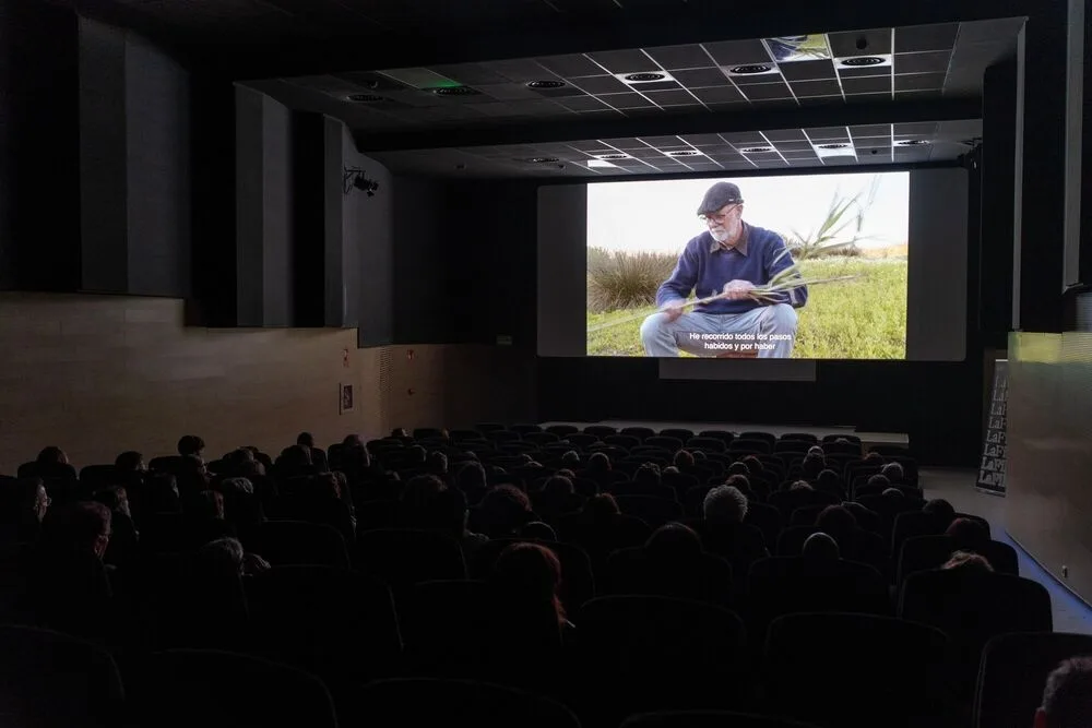 Cinema en Curs: un programa que transforma a jóvenes en espectadores y creadores críticos